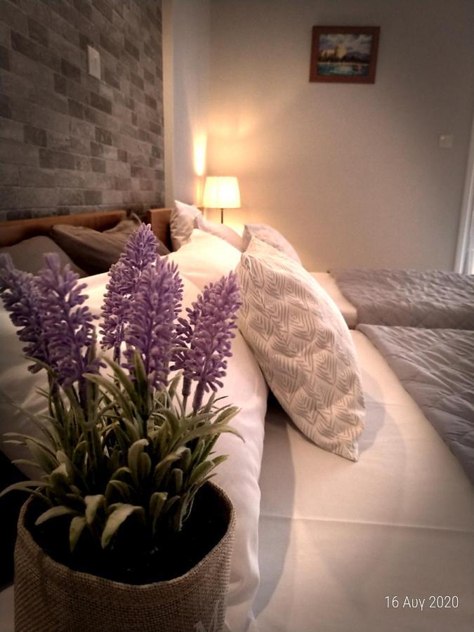 Paralía Adonis Apartments מראה חיצוני תמונה